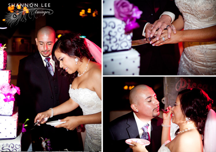 cake cutting cake cutting