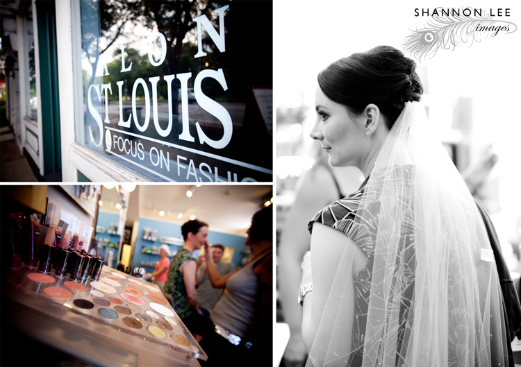 salon st louis salon st louis