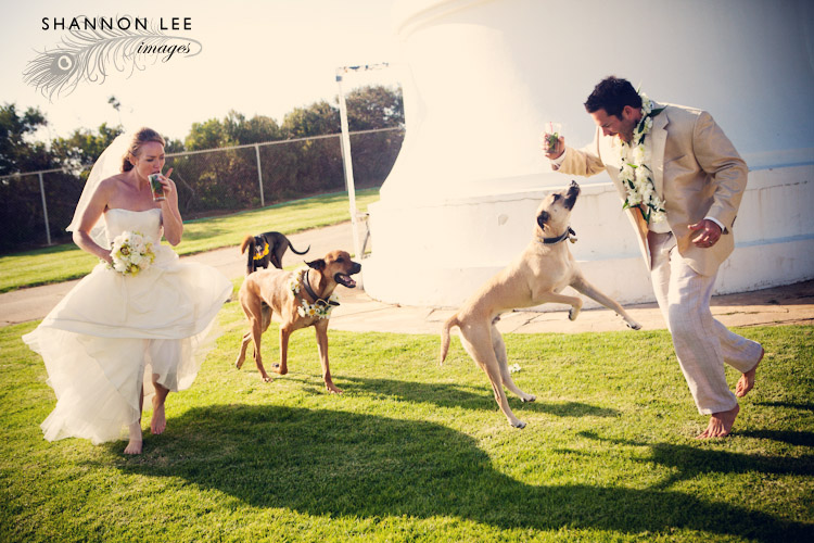 point vicente lighthouse wedding point vicente lighthouse wedding