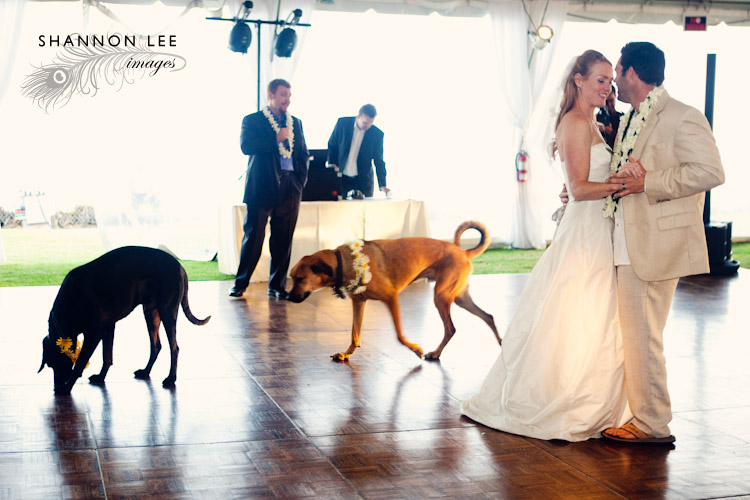 first dance first dance