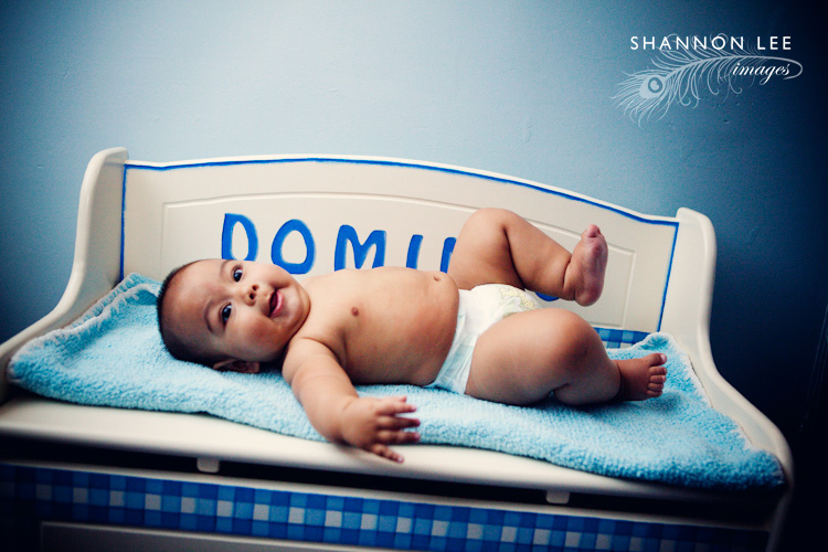 dominic dominic