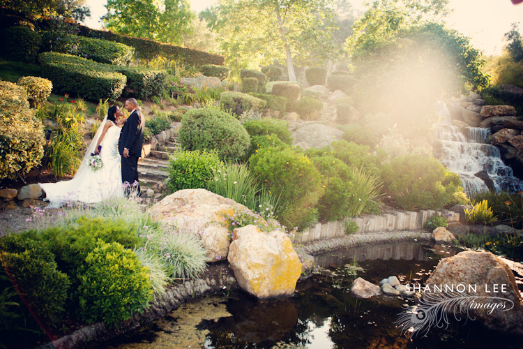 sherwood country club wedding photography sherwood country club wedding photography