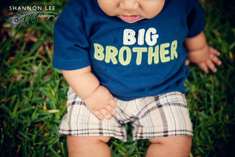 big brother big brother