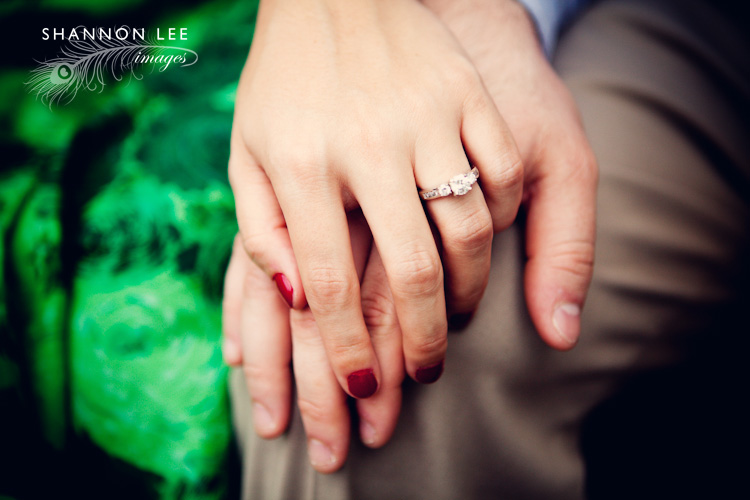washington dc engagement photographer washington dc engagement photographer