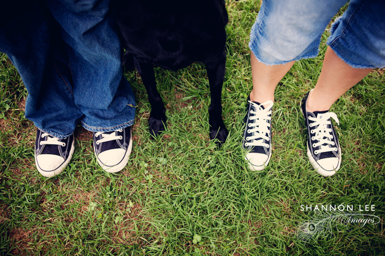 dog feet dog feet