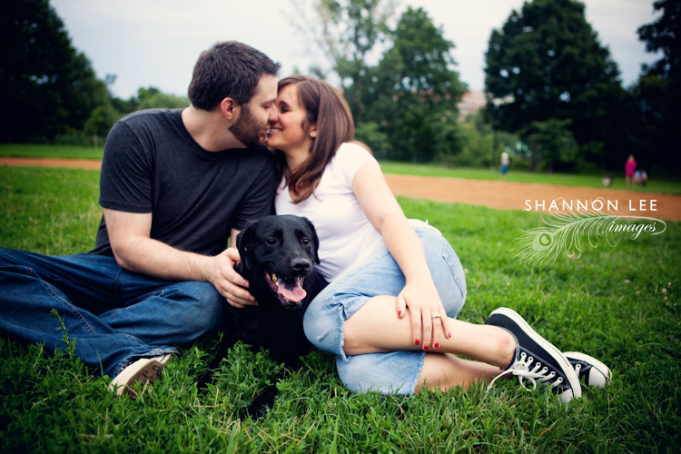 dog engagement session dog engagement session