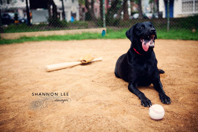 the sandlot the sandlot