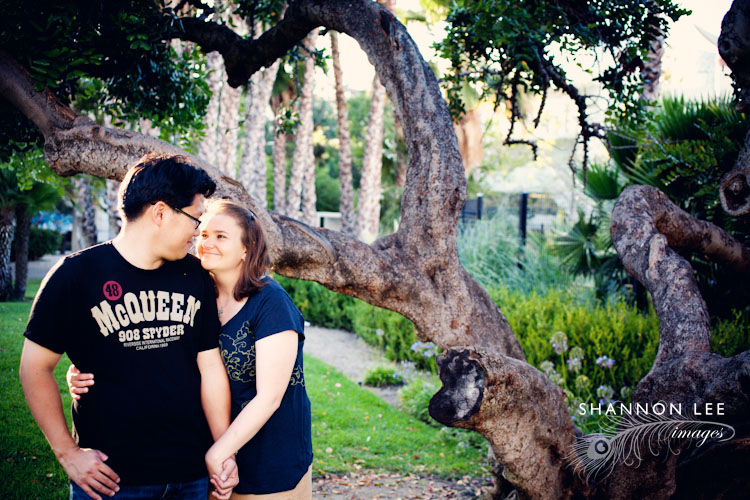 tree engagement session
