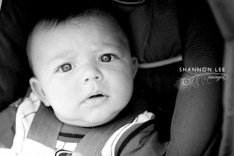 los angeles baby photographer los angeles baby photographer