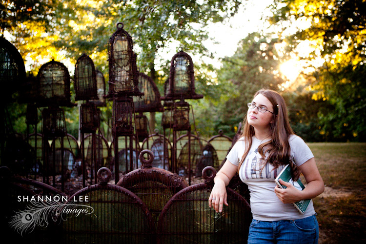 bird cages