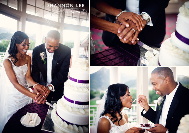 cake cutting cake cutting