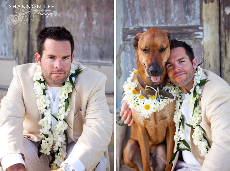 beach groom beach groom
