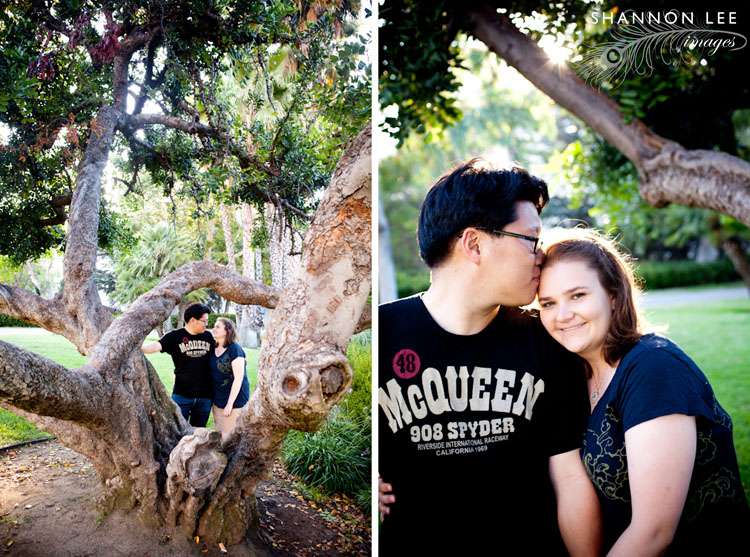 tree engagement session