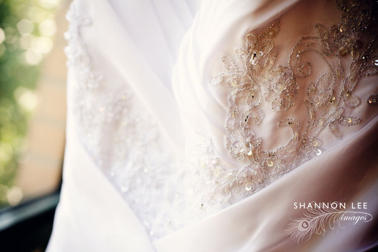 chicago wedding dress
