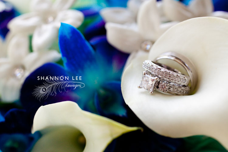 chicago wedding photographer