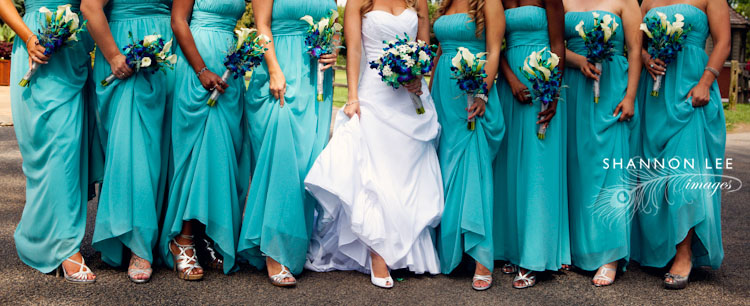 chicago bridal party