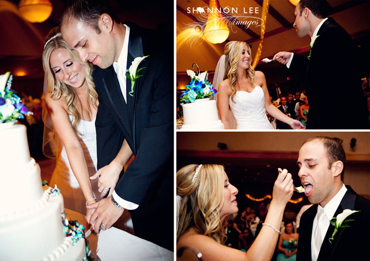 cake cutting