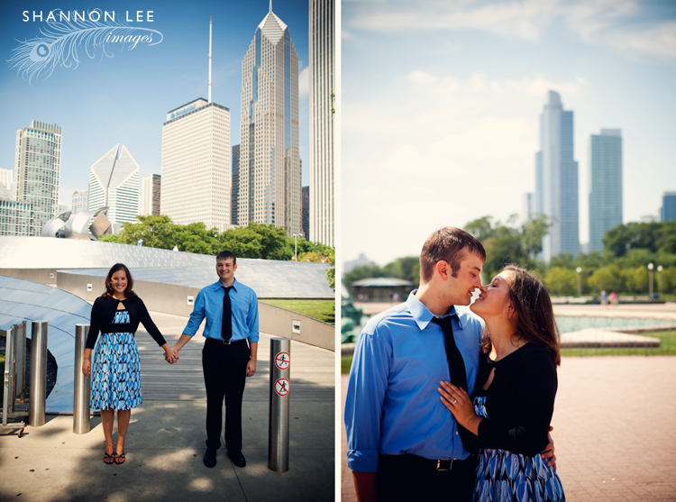 chicago skyline