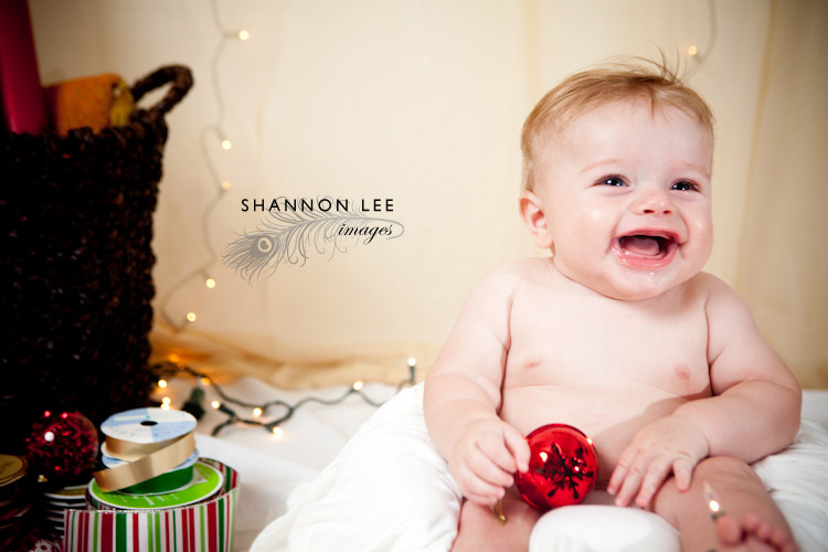 christmas photography