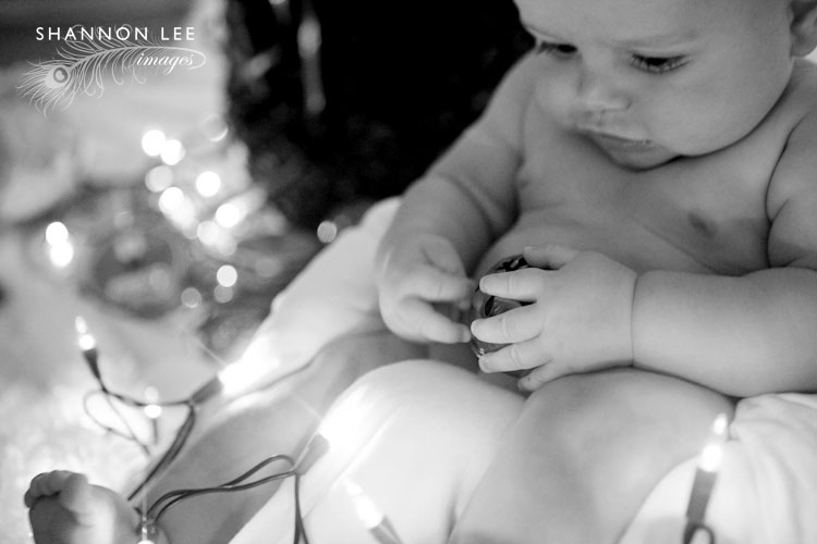 los angeles studio photography