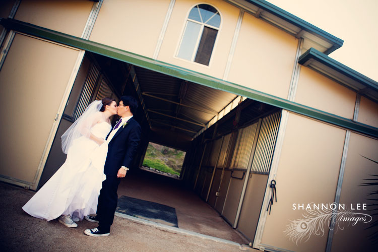 horse ranch wedding photography