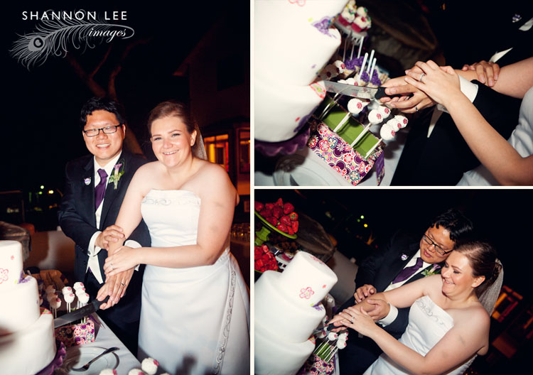 cake cutting
