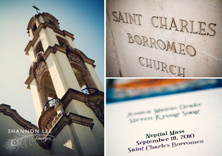 saint charles borromeo church