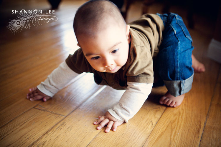 los angeles baby photography los angeles baby photography