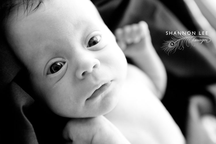 los angeles baby photography los angeles baby photography