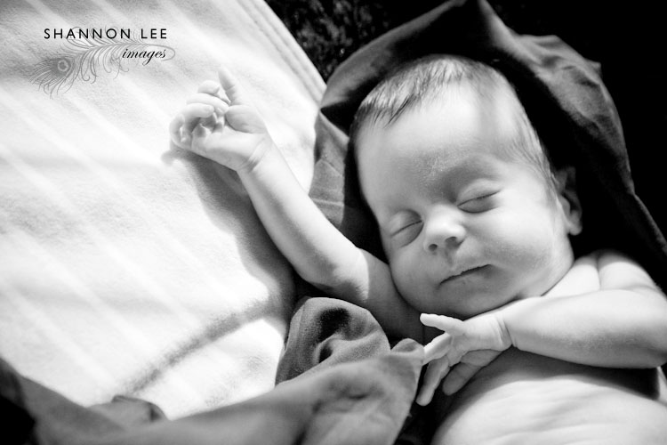 newborn photography newborn photography