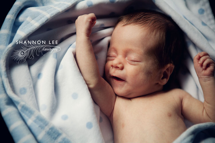 los angeles newborn photography los angeles newborn photography