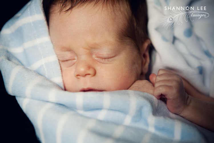 los angeles baby photographer los angeles baby photographer