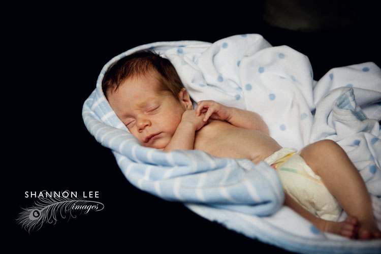 newborn photographer newborn photographer