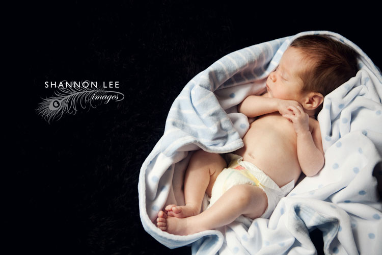 los angeles newborn photographer los angeles newborn photographer