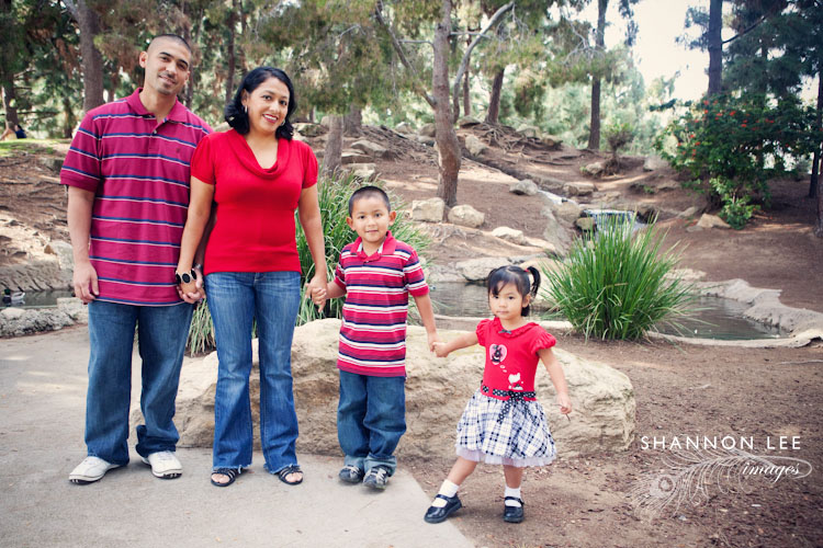 mini family sessions