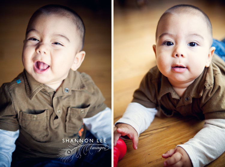 dominic dominic