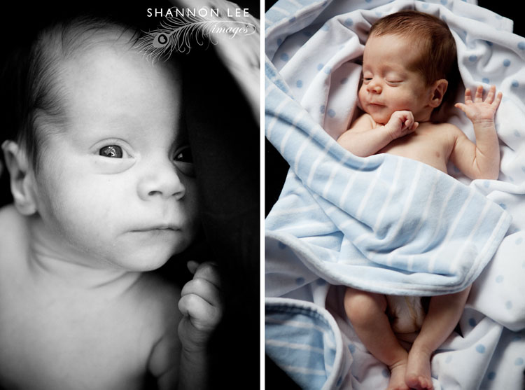 los angeles baby photographer los angeles baby photographer