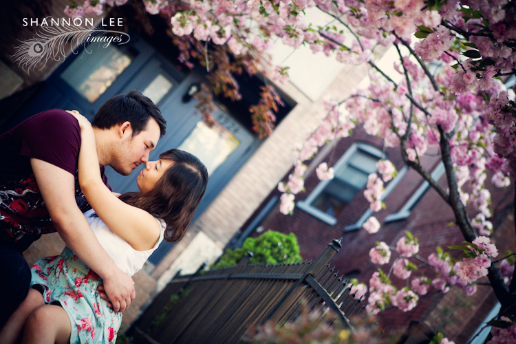 st louis engagement