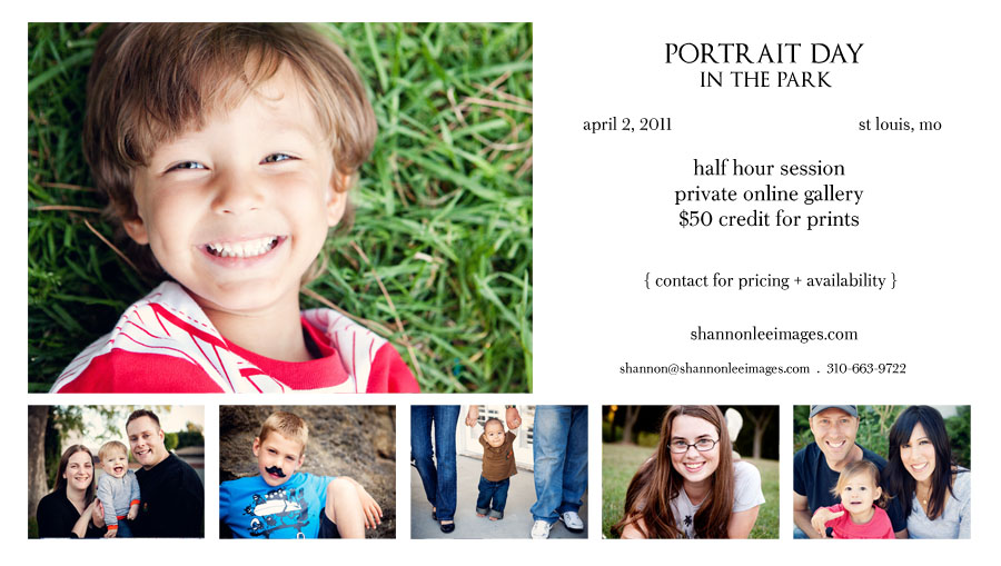 st louis portraits