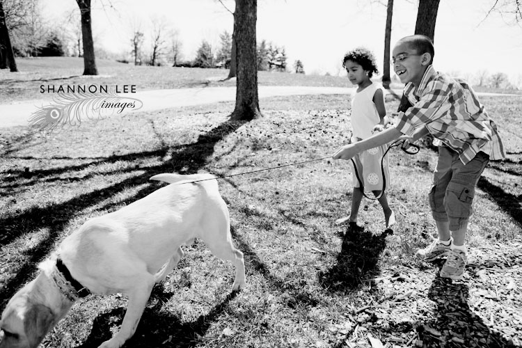 st louis family photographer