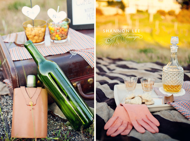 picnic engagement
