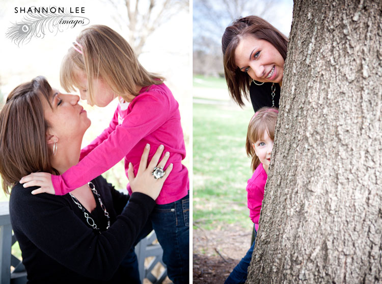 st louis family portraits
