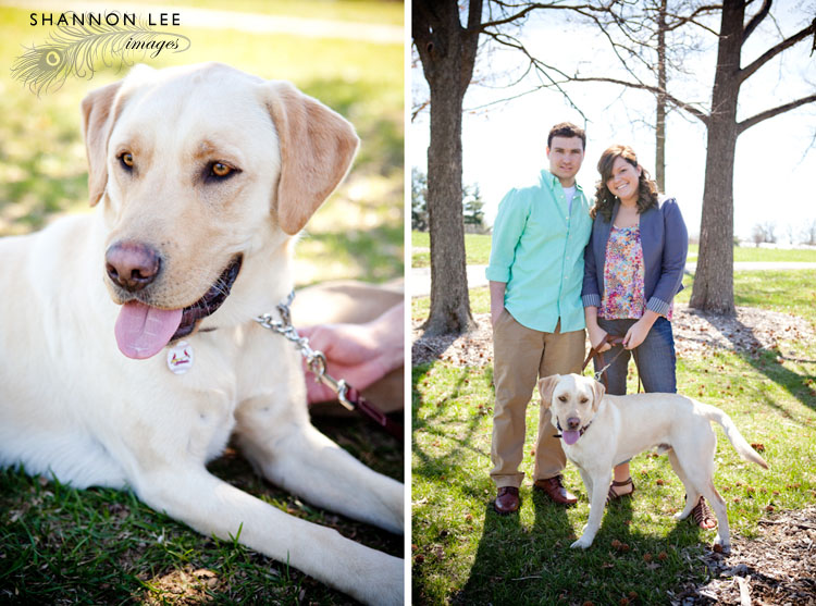 st louis family photographer