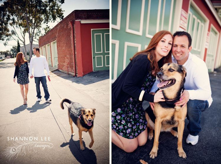 dog engagement session