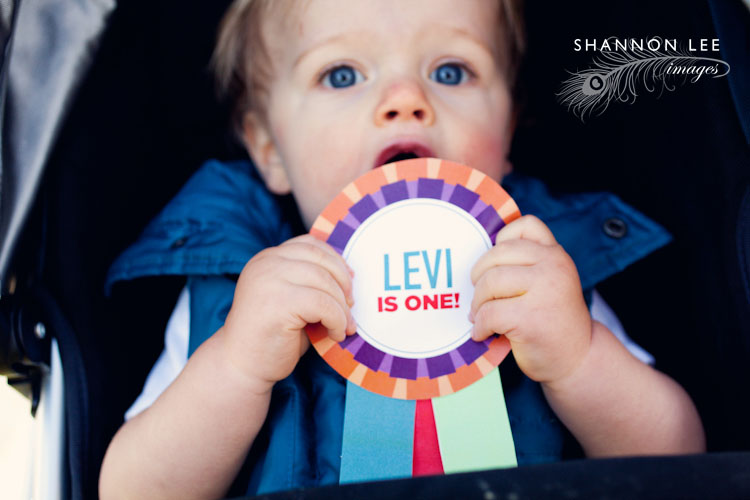 one year old birthday