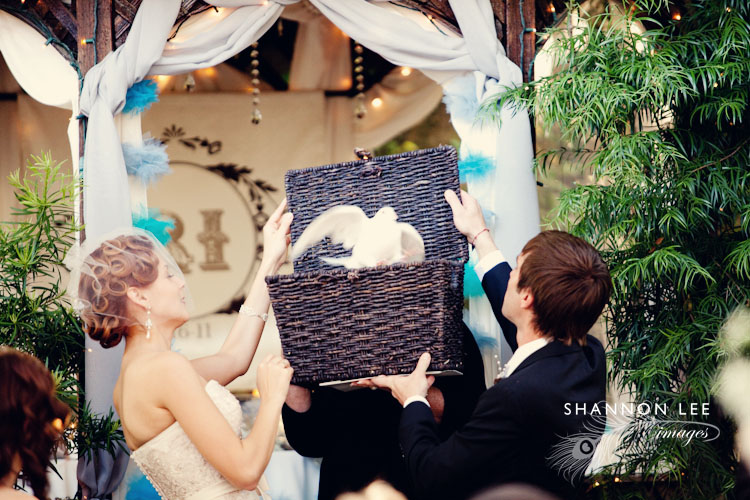 wedding doves