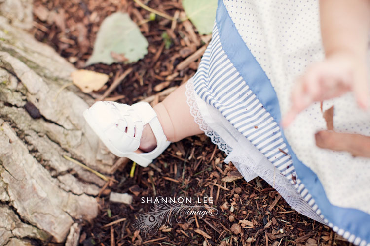 st louis photographer