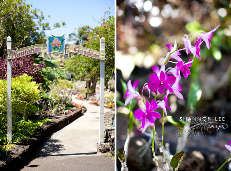plantation gardens wedding