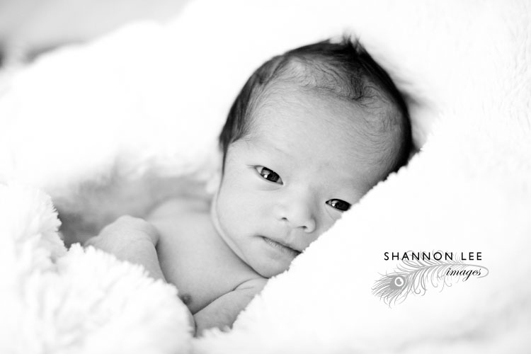 newborn photographer