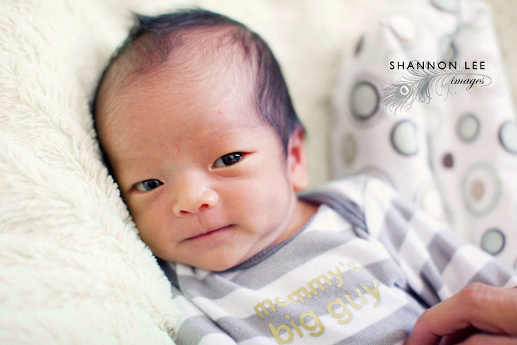 baby-zander-104acc2-l
